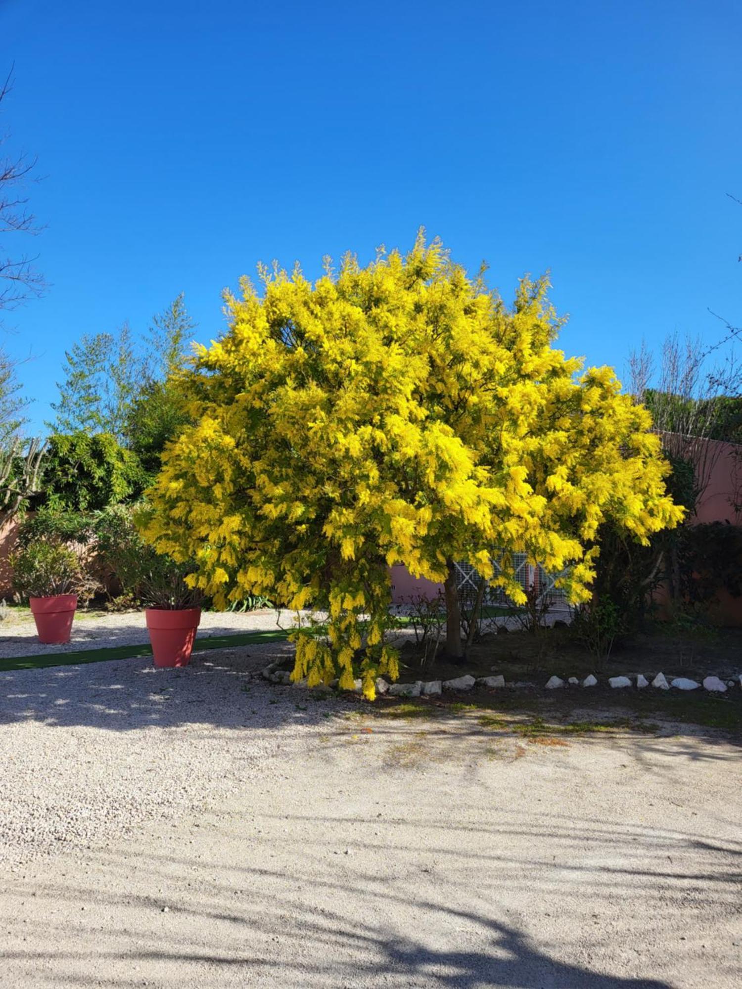 Logis La Ferme Hotel